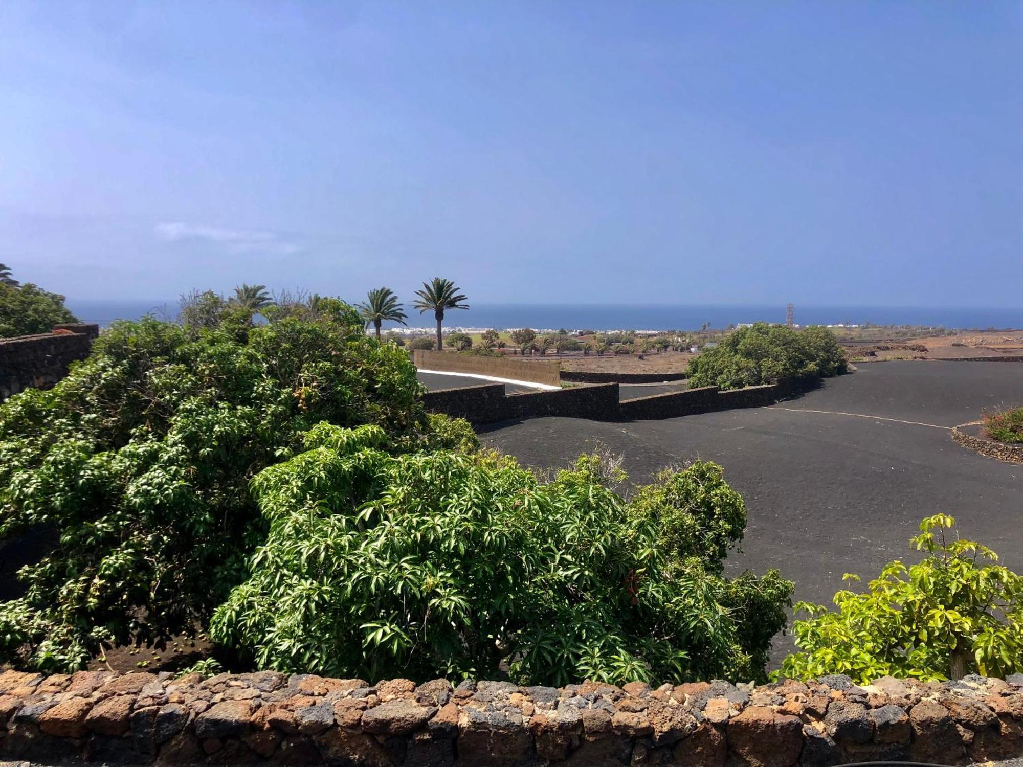 Villa Luciano "Spirit Of The Canaries" Tías Dış mekan fotoğraf