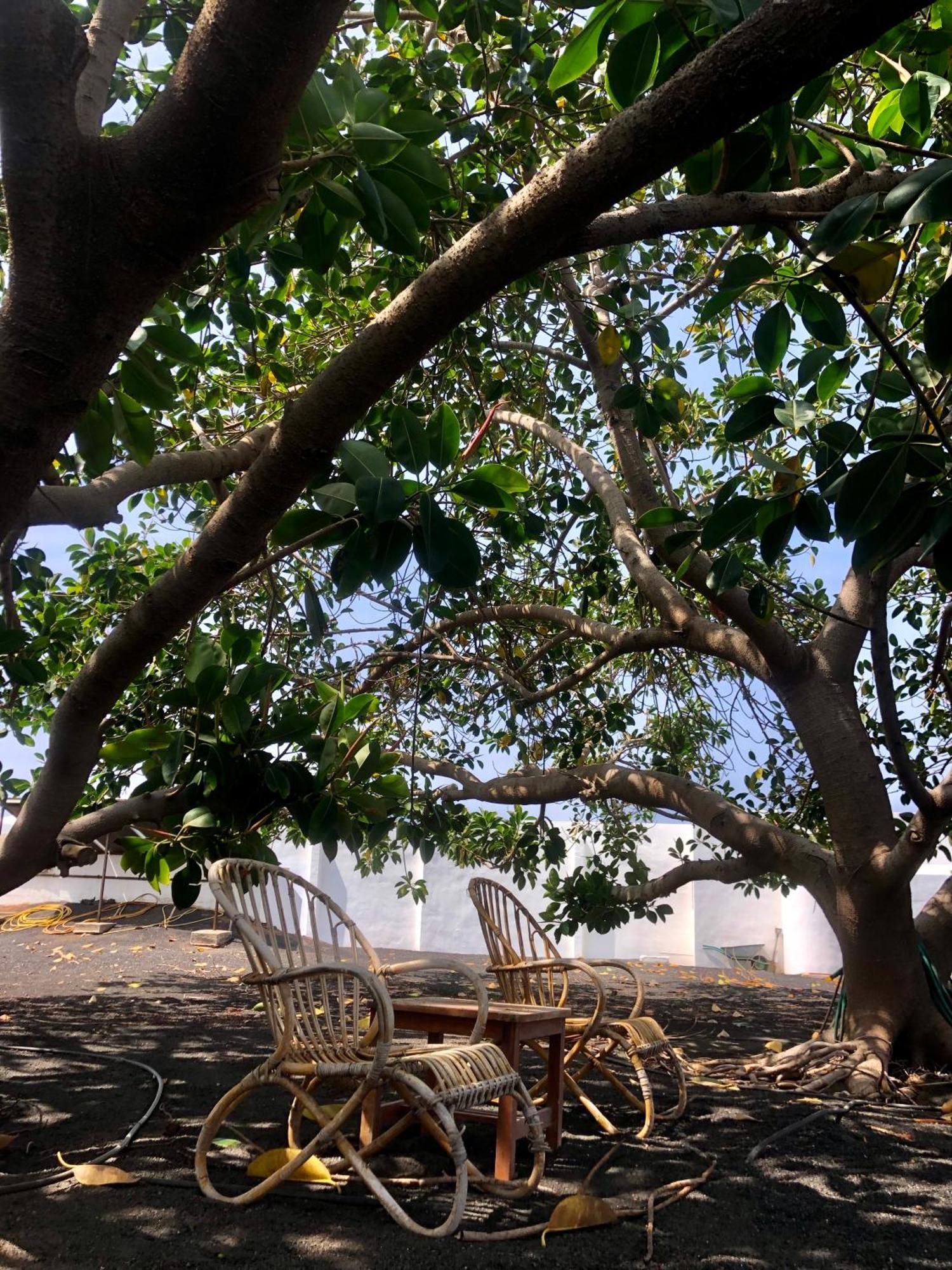 Villa Luciano "Spirit Of The Canaries" Tías Dış mekan fotoğraf